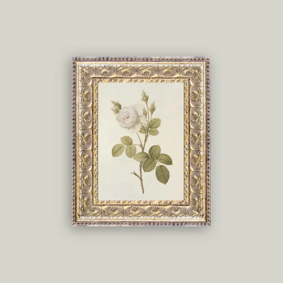 Misty Rose Framed Antique Art