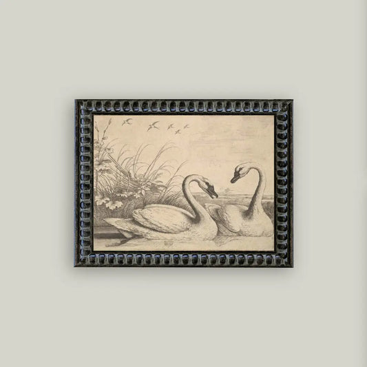 Two Swans Framed Art