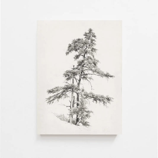 Tree Sketch Vintage Art Print 8x10