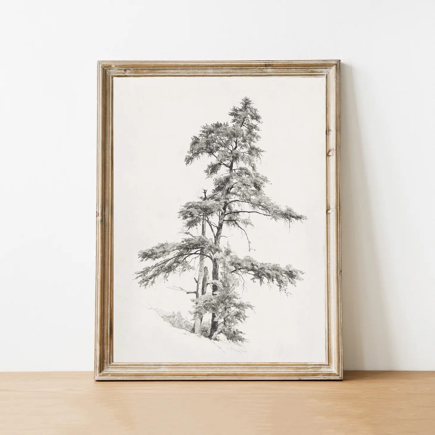 Tree Sketch Vintage Art Print 8x10